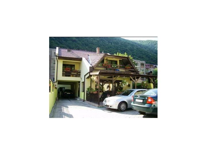 Vila Adriana, Baile Herculane - imaginea 