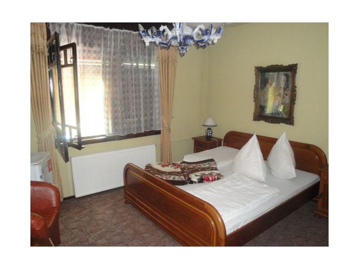 Vila Hera, Baile Herculane - imaginea 