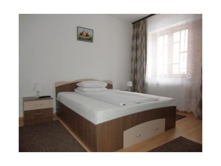 Hostel Sara's Sons, Baile Herculane - imaginea 