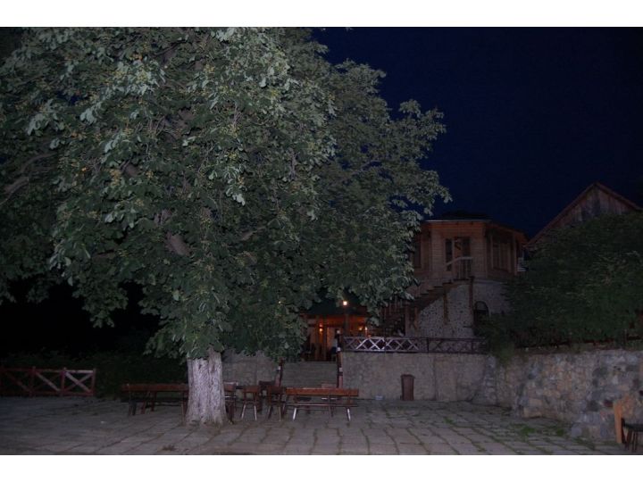 Cabana 7 Brazi, Oravita - imaginea