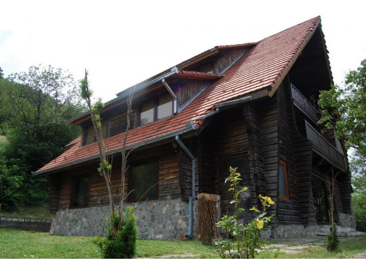 Cabana 7 Brazi, Oravita - imaginea