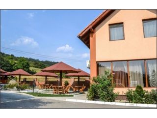 Pensiunea Caunita, Sichevita - 3