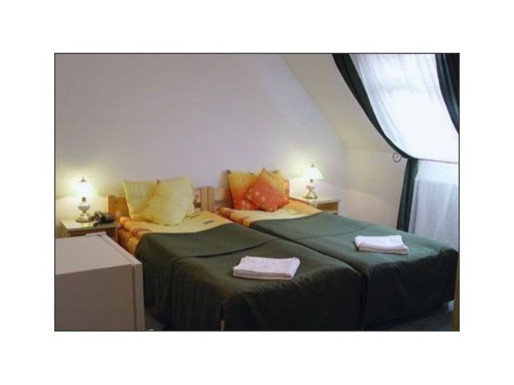 Vila Casa Alesiv, Cluj-Napoca - imaginea 