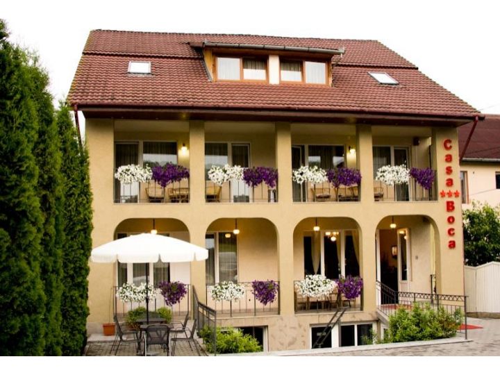 Pensiunea Casa Boca, Cluj-Napoca - imaginea 