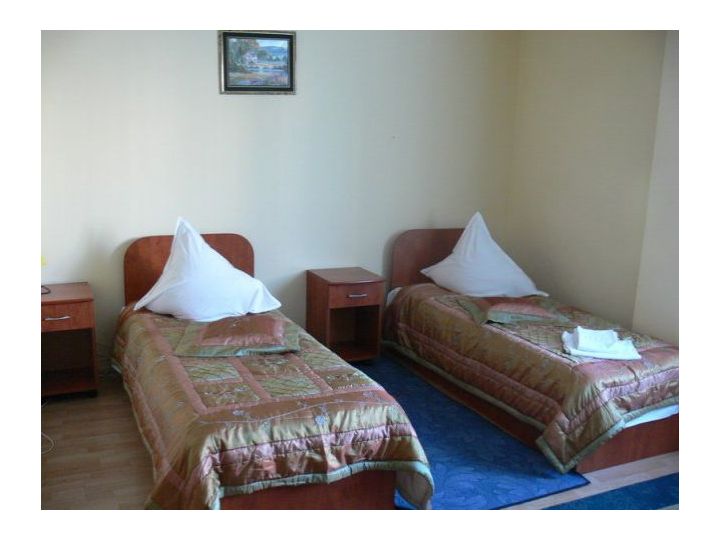 Hotel Delaf, Cluj-Napoca - imaginea 