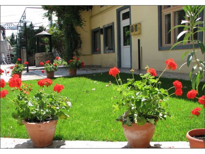 Pensiunea Elias, Cluj-Napoca - imaginea