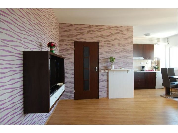 Apartamentul Jonathan, Cluj-Napoca - imaginea 