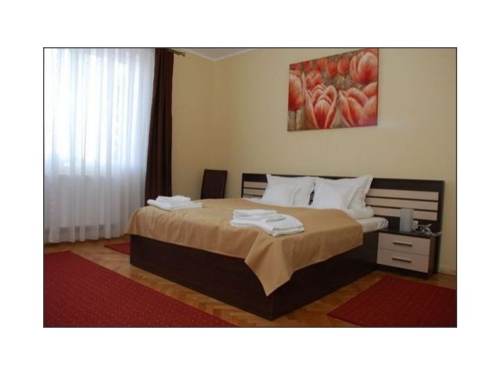 Vila Parc, Cluj-Napoca - imaginea 