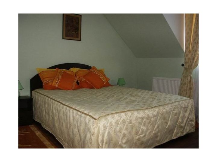 Vila Vanda, Cluj-Napoca - imaginea 