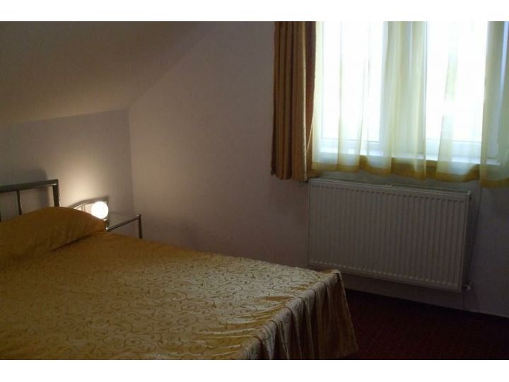 Pensiunea Viena, Cluj-Napoca - imaginea 