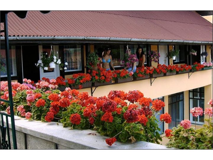Pensiunea Iozefini, Floresti - imaginea 