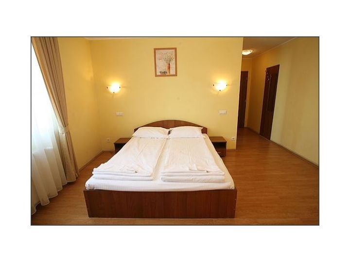 Pensiunea Han Km 17, Jucu - imaginea 