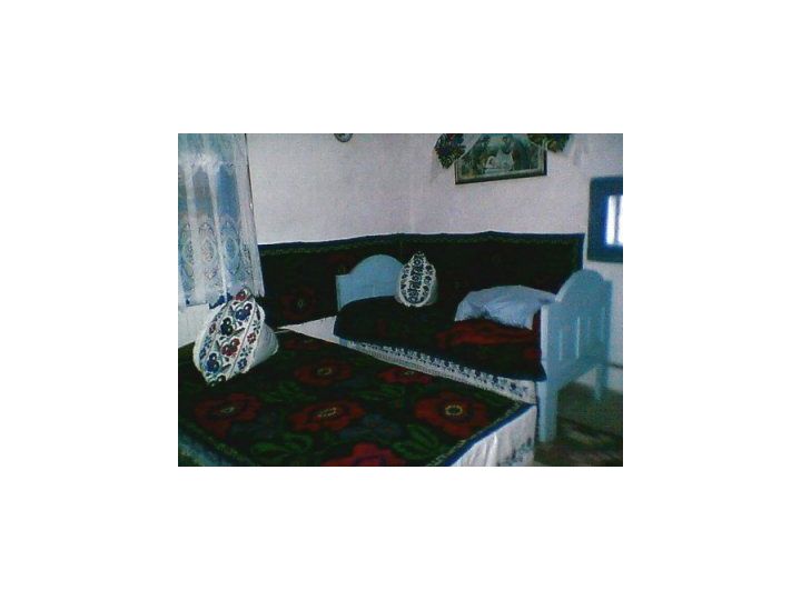 Pensiunea Susman, Rachitele - imaginea 