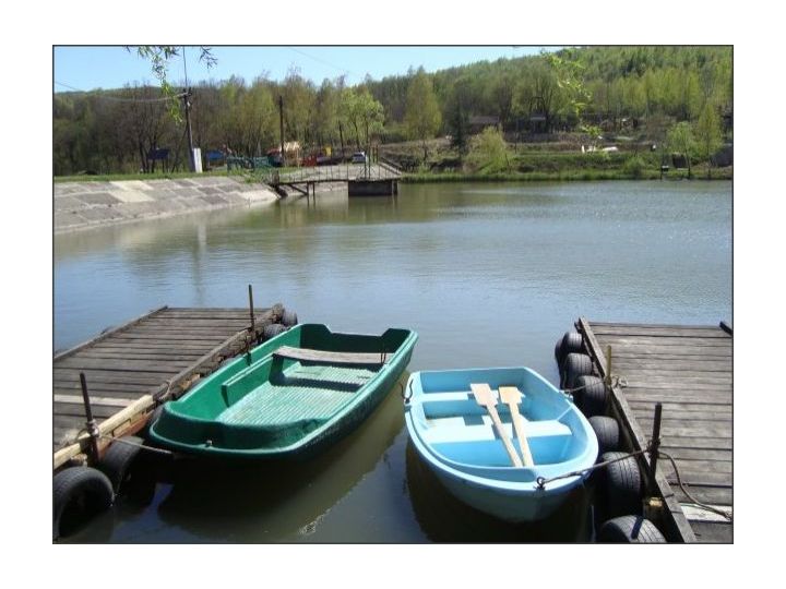Pensiunea Lacul Micesti, Tureni - imaginea 