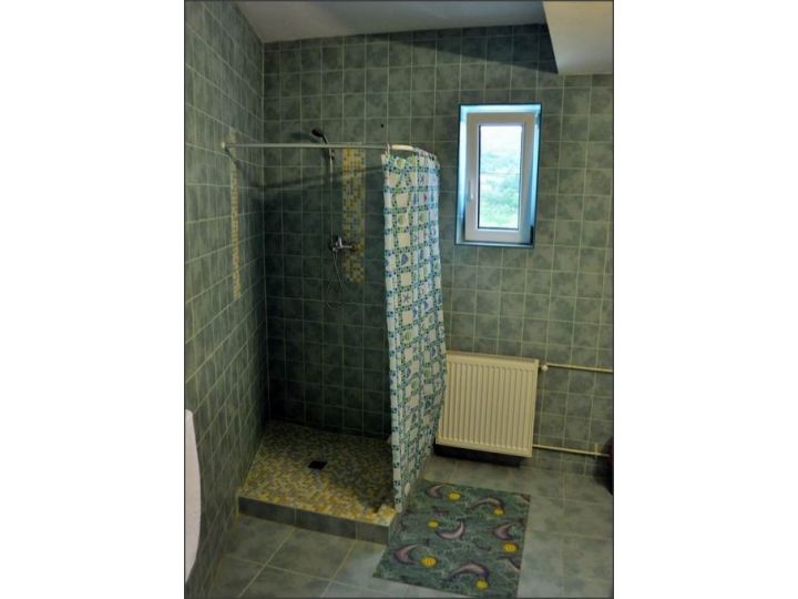 Pensiunea Victoria, Valea Draganului - imaginea 