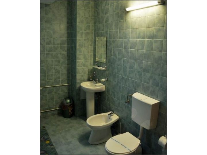 Pensiunea Victoria, Valea Draganului - imaginea 