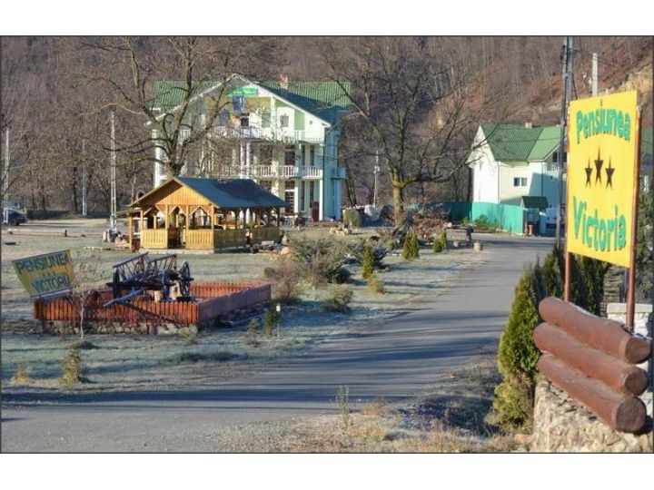 Pensiunea Victoria, Valea Draganului - imaginea 