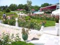 Hotel Diamant, Cap Aurora - thumb 6