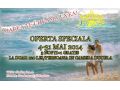 Vila Diandra, Eforie Nord - thumb 3