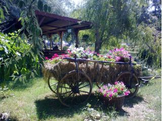 Campingul Gpm, Mamaia - 2