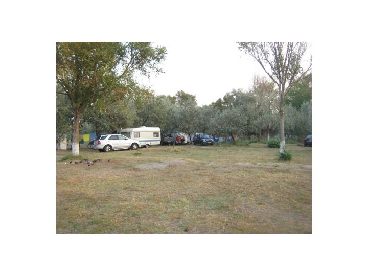 Campingul Ena, Mamaia - imaginea 