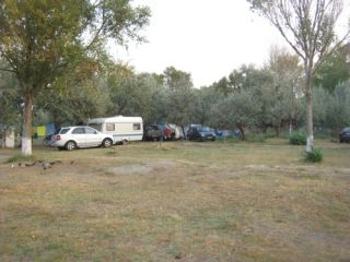 Campingul Ena, Mamaia - 1