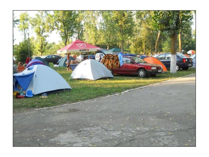 Campingul Palace, Venus - imaginea 