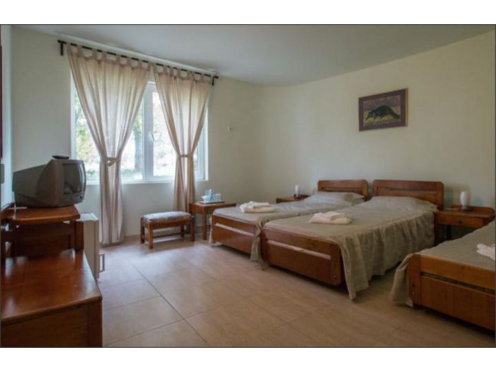 Hotel Academy, Venus - imaginea 