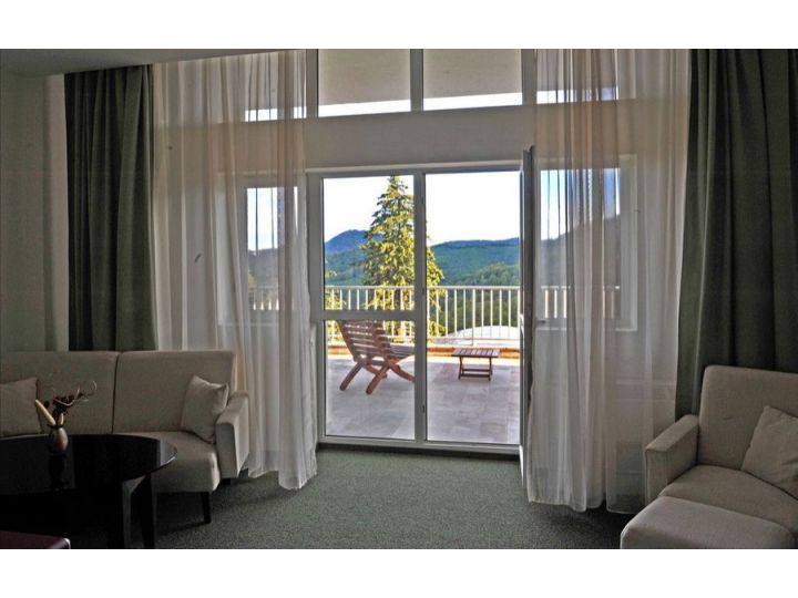 Hotel Grand Hotel Balvanyos, Balvanyos - imaginea 