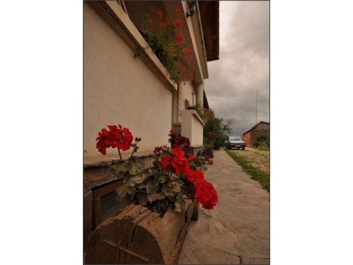 Pensiunea Eniko, Cernat - imaginea 