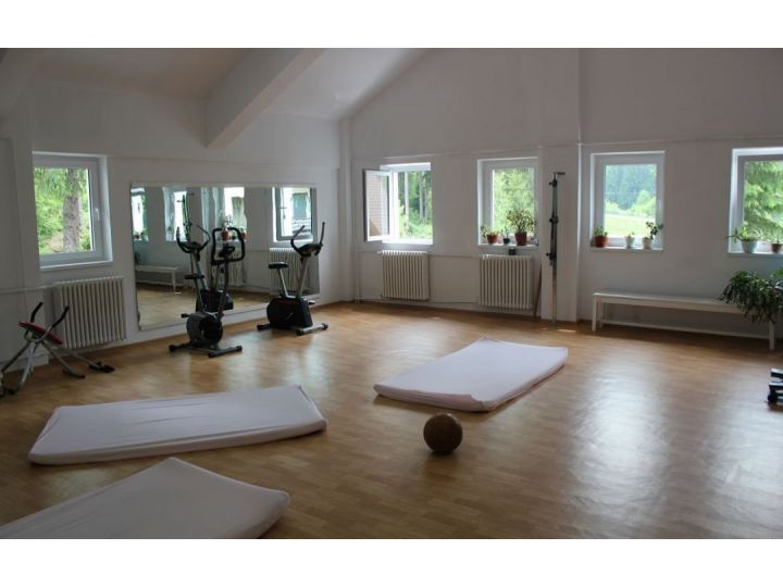 Hotel Bradul, Covasna Oras - imaginea 