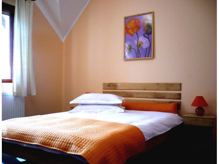 Pensiunea Casa Din Parc, Covasna Oras - imaginea