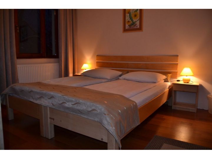 Pensiunea Casa Din Parc, Covasna Oras - imaginea