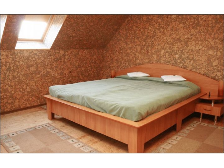 Hotel Christine, Targu Secuiesc - imaginea 