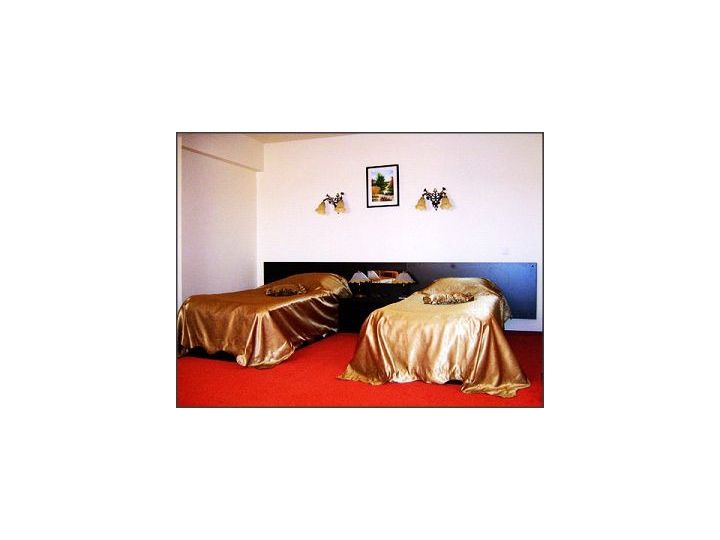 Pensiunea Golden Plum, Crevedia - imaginea 