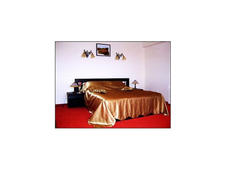 Pensiunea Golden Plum, Crevedia - imaginea 