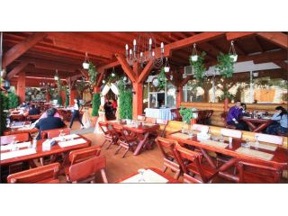 Motel Dragodana, Dragodana - 4