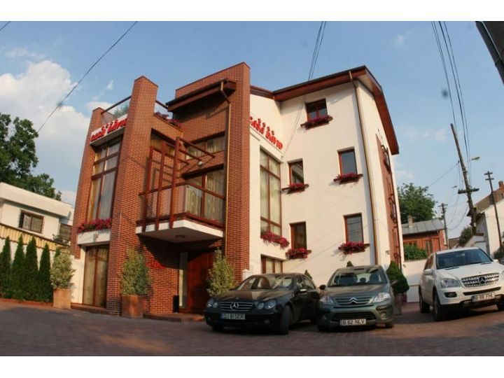 Vila Casa David, Craiova - imaginea 