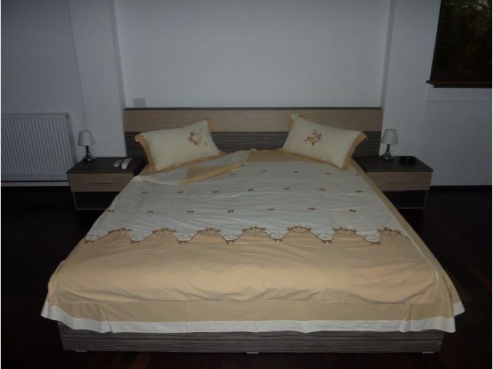 Hotel Euphoria, Craiova - imaginea 