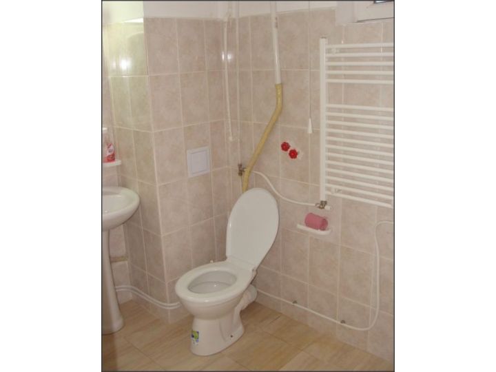 Hostel Rocoop, Filiasi - imaginea 