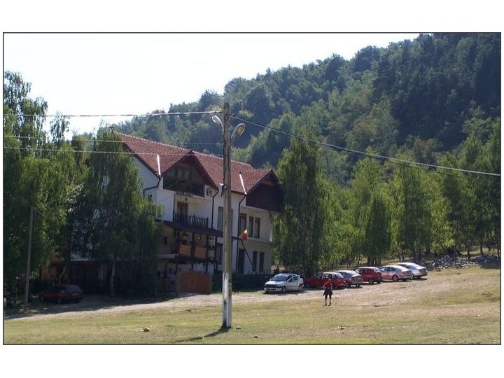 Pensiunea Casa Cu Mesteceni, Baia de Fier - imaginea 