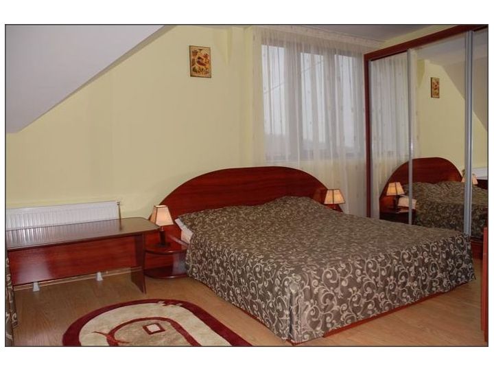 Pensiunea Casa Cu Mesteceni, Baia de Fier - imaginea 