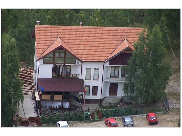 Pensiunea Casa Cu Mesteceni, Baia de Fier - imaginea 