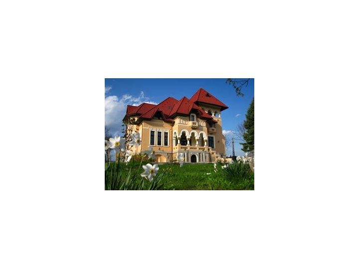Pensiunea Casa Danielescu, Targu Jiu - imaginea 