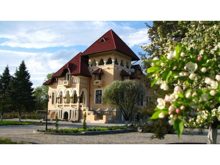 Pensiunea Casa Danielescu, Targu Jiu - imaginea 