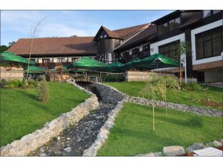 Hotel Sara, Ticleni - 4