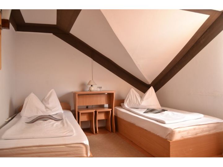 Vila Ursu, Tismana - imaginea 