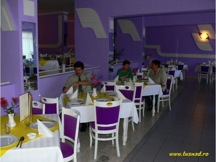 Hotel Tusnad, Baile Tusnad - imaginea 