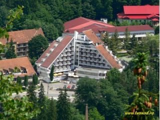 Hotel Tusnad, Baile Tusnad - 2