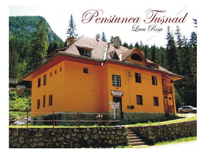 Pensiunea Vila 9 Tusnad, Lacu Rosu - imaginea 